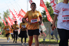 IMG_2537