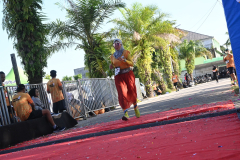 DSC_8849
